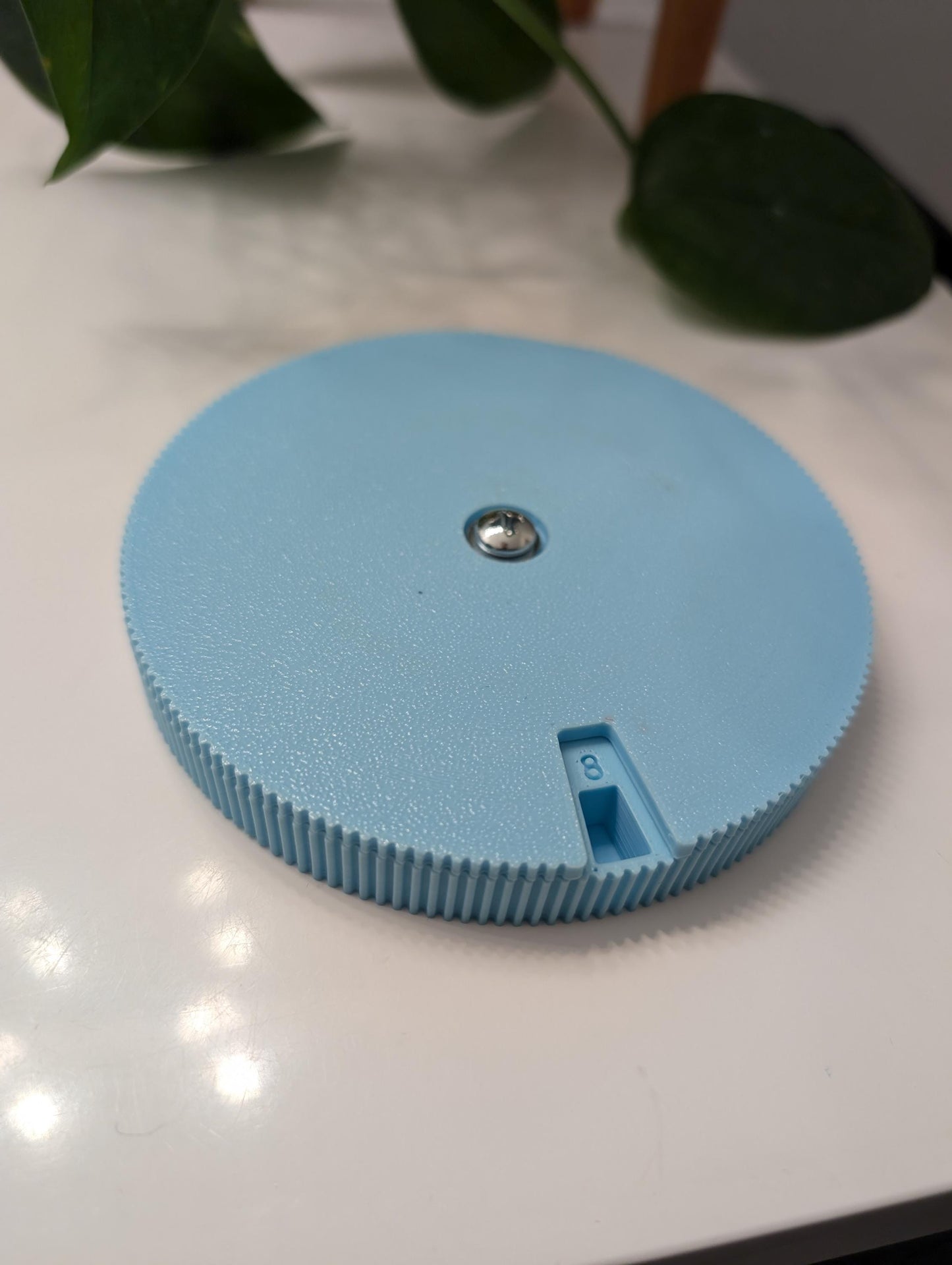 31-Day Pill Box Organizer