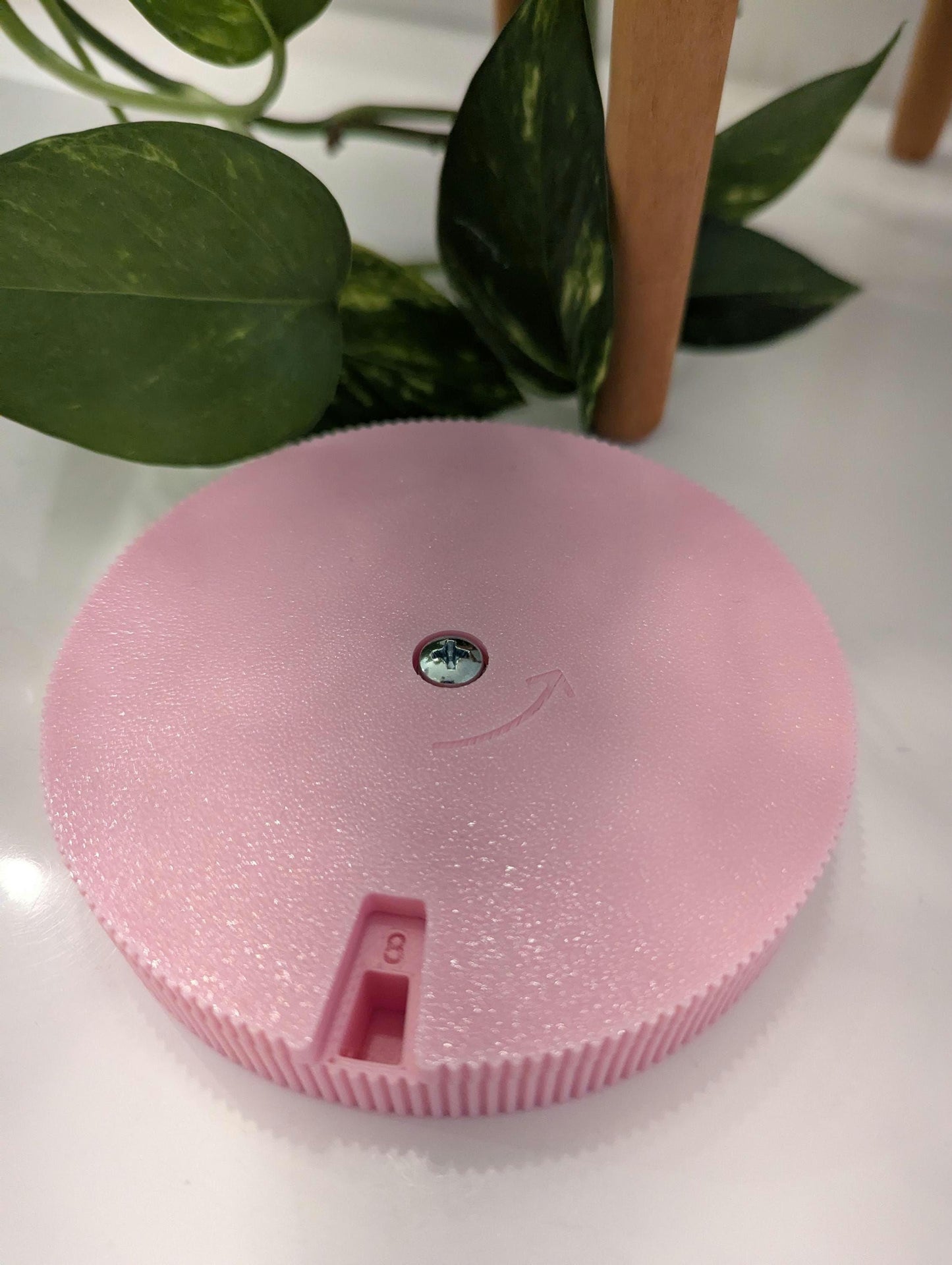 31-Day Pill Box Organizer